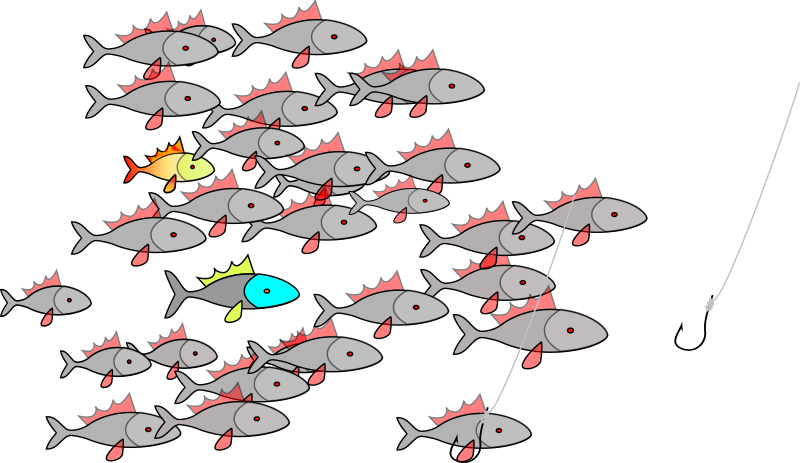 fishes 