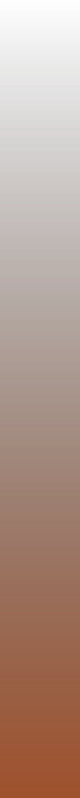 ws-gradient-sienna