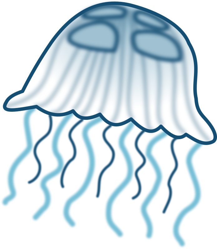 Jellyfish