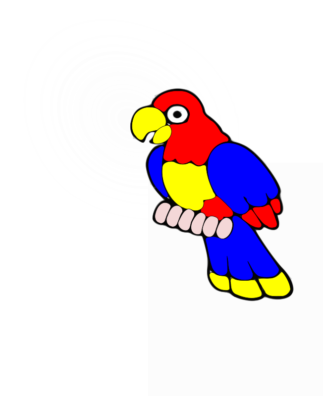 pajaro