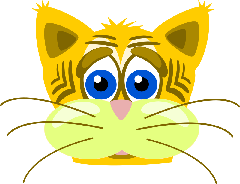 Sad tiger cat