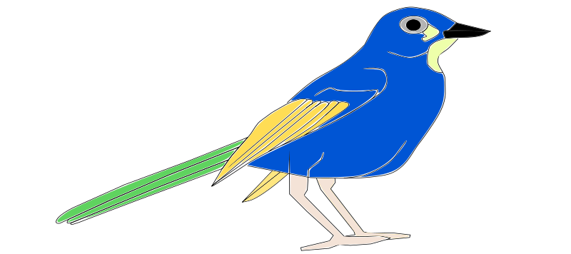 Bird