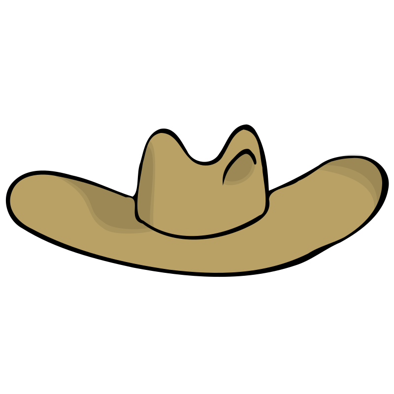 Cowboy hat