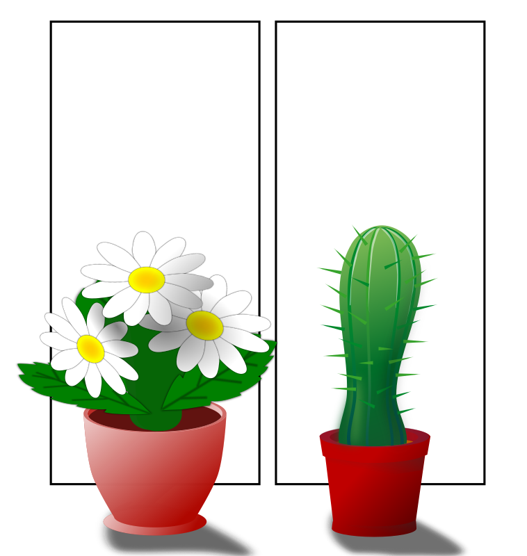 Window with plants