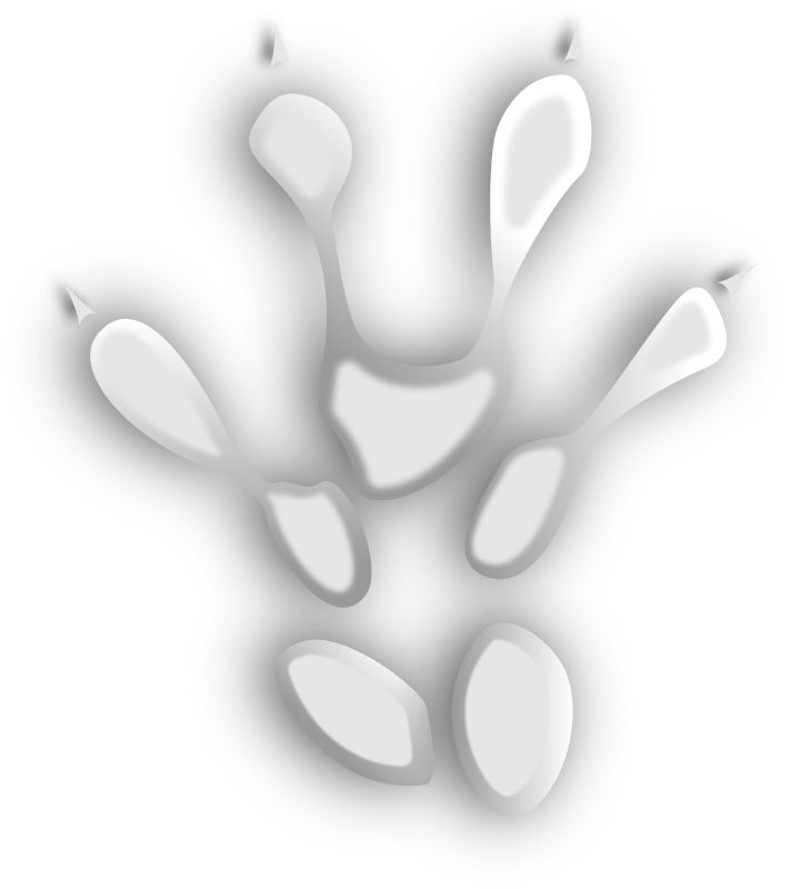 Footprint #4