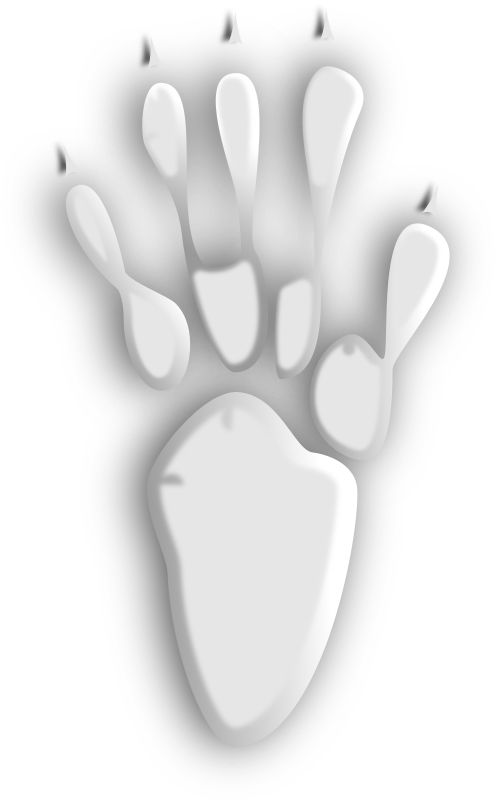 Footprint #5