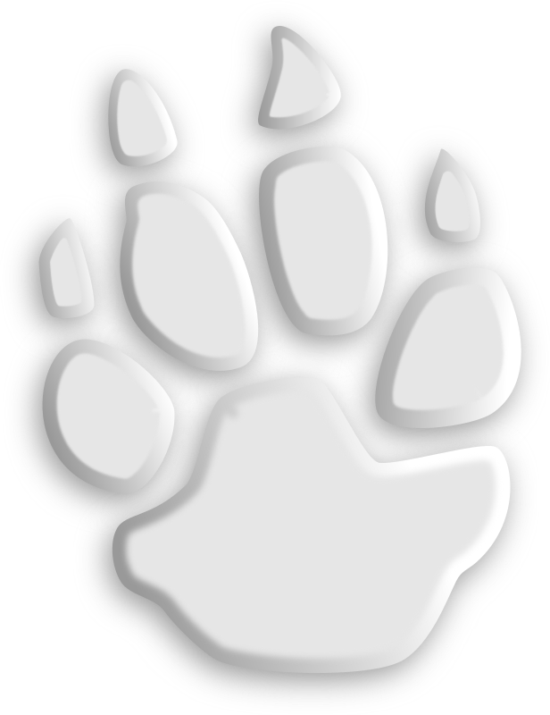 Footprint #6