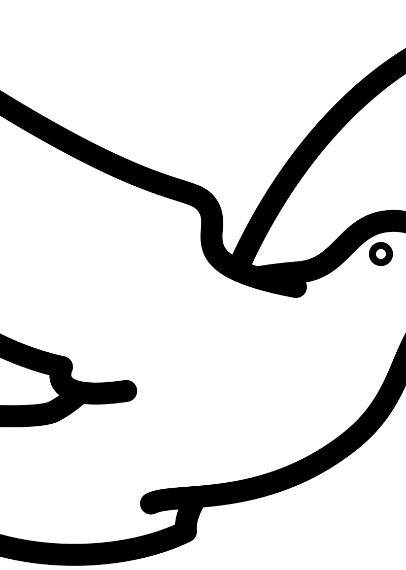 Dove flying