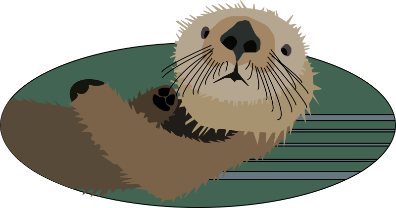 Sea otter