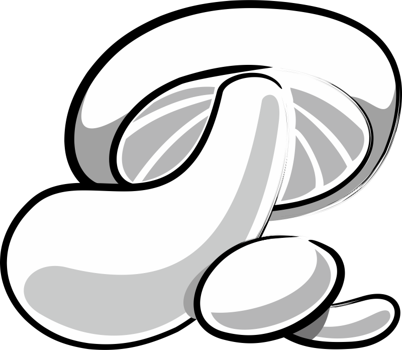 Mushroom