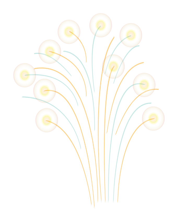 Feu d artifice