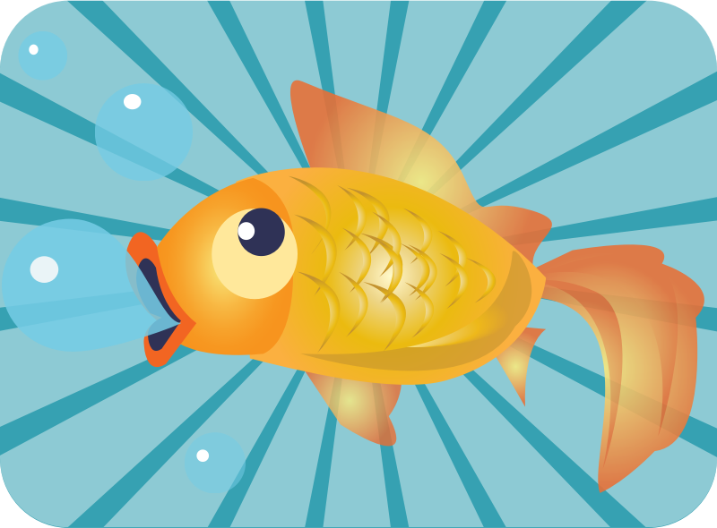 Goldfish