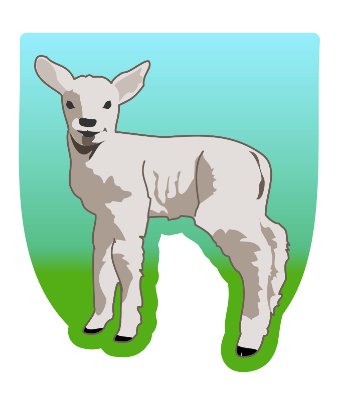 young lamb