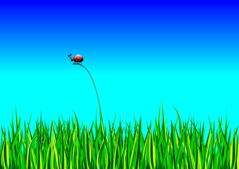 Grass with bug