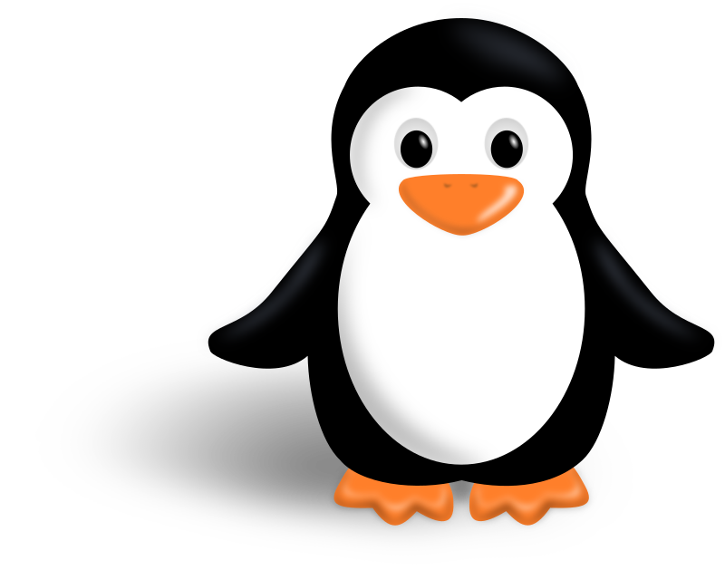 Little penguin