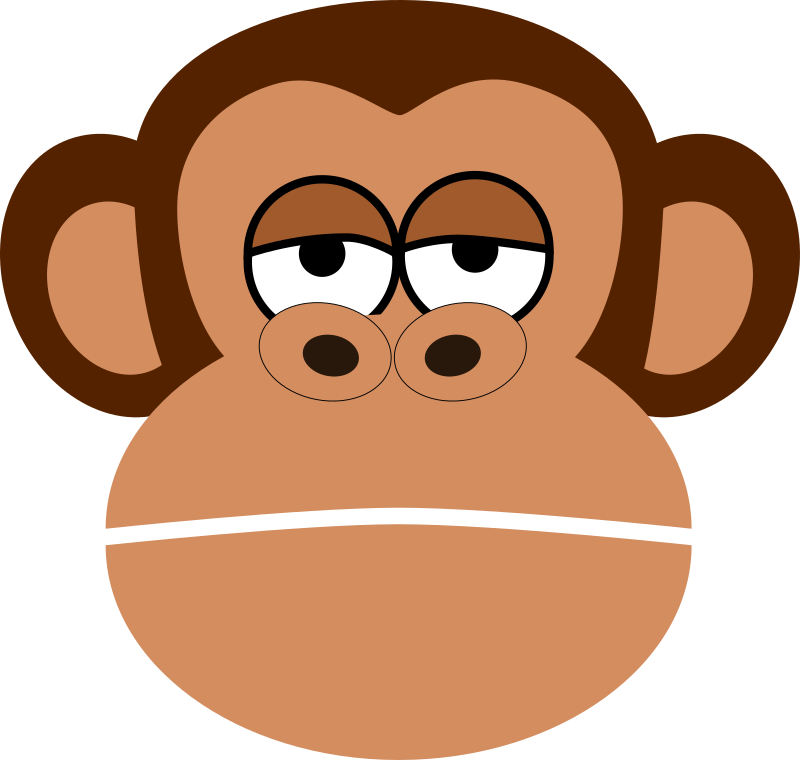 Mono Monkey