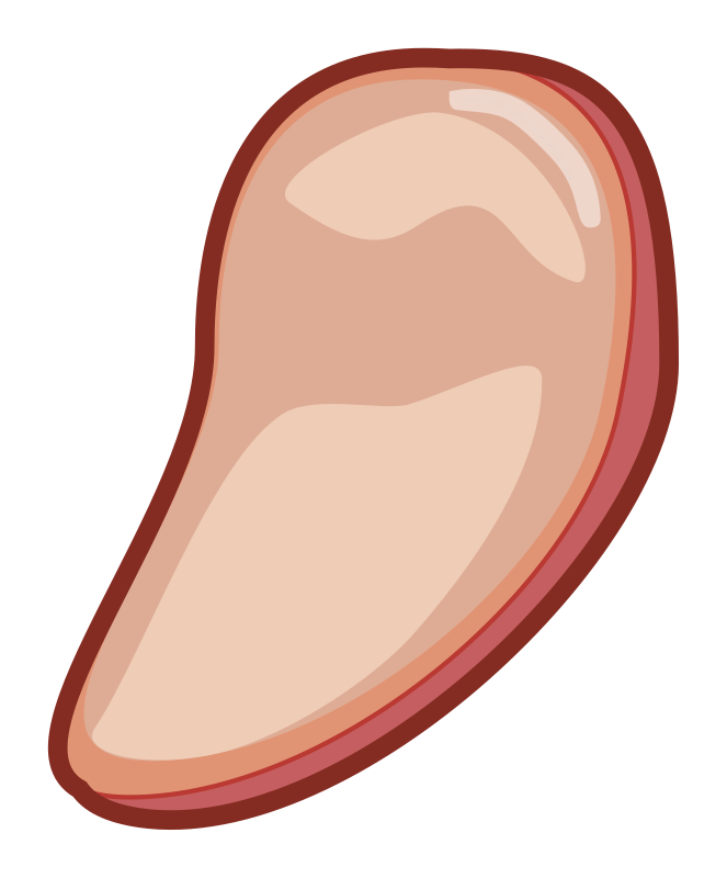 Carne