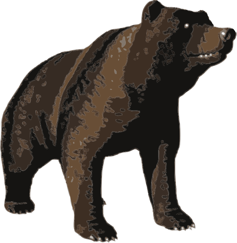 Brown bear