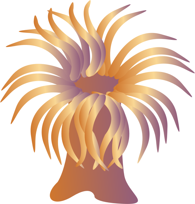sea â€‹â€‹anemone