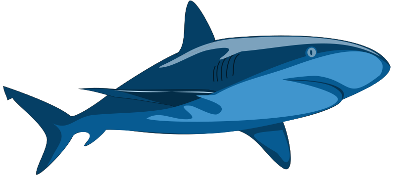 Shark Pure