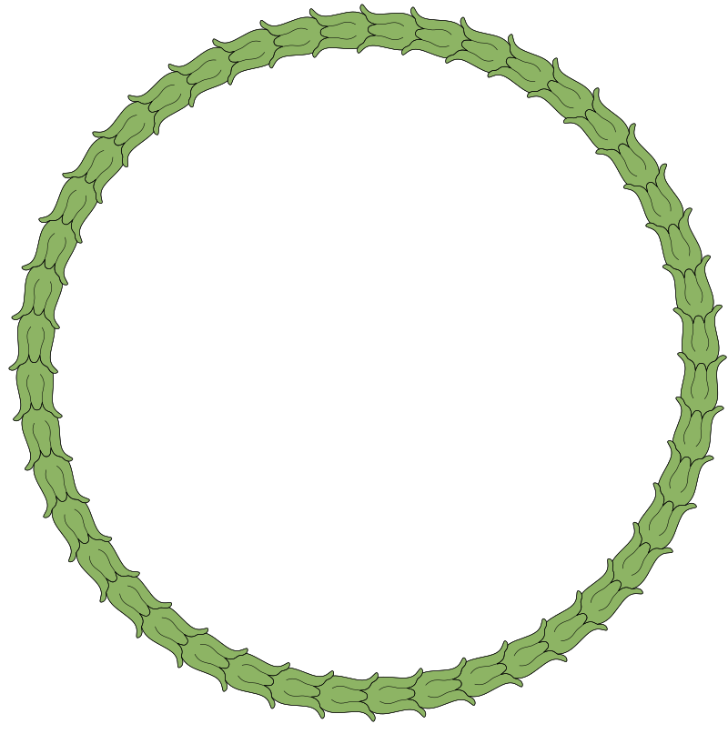 Wreath ornamental decoration