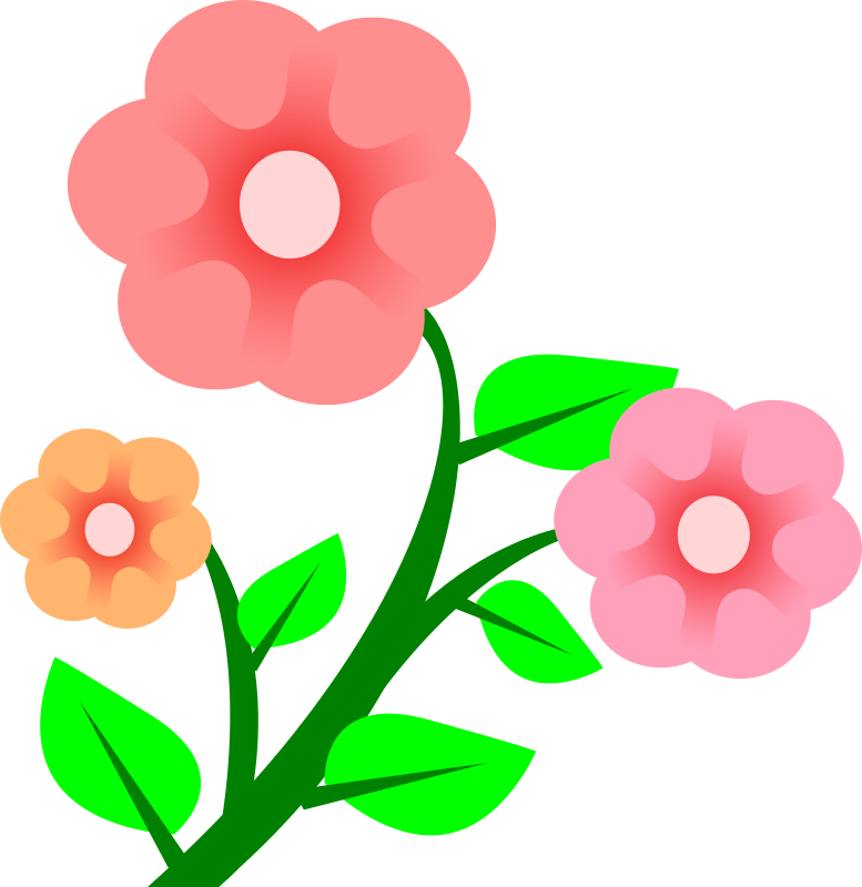 3 flowers