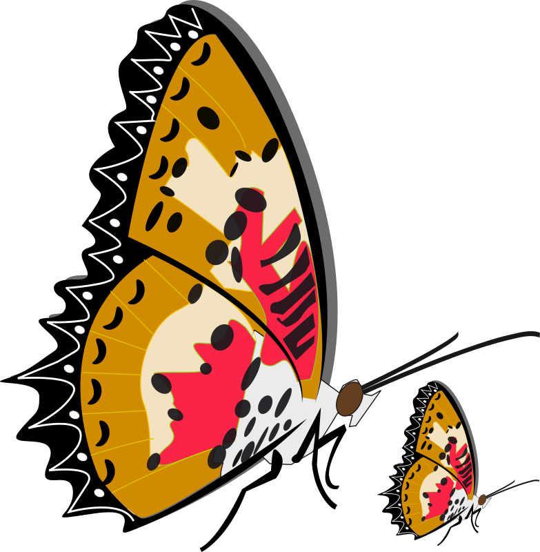 papillon