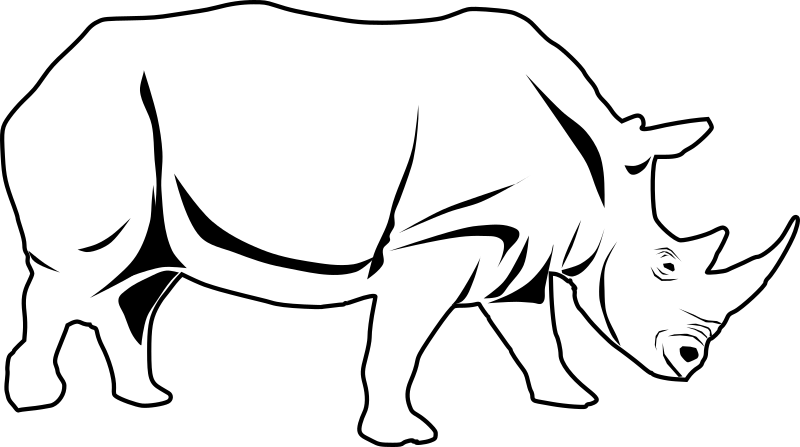 rhino