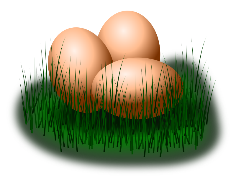 egg in grass