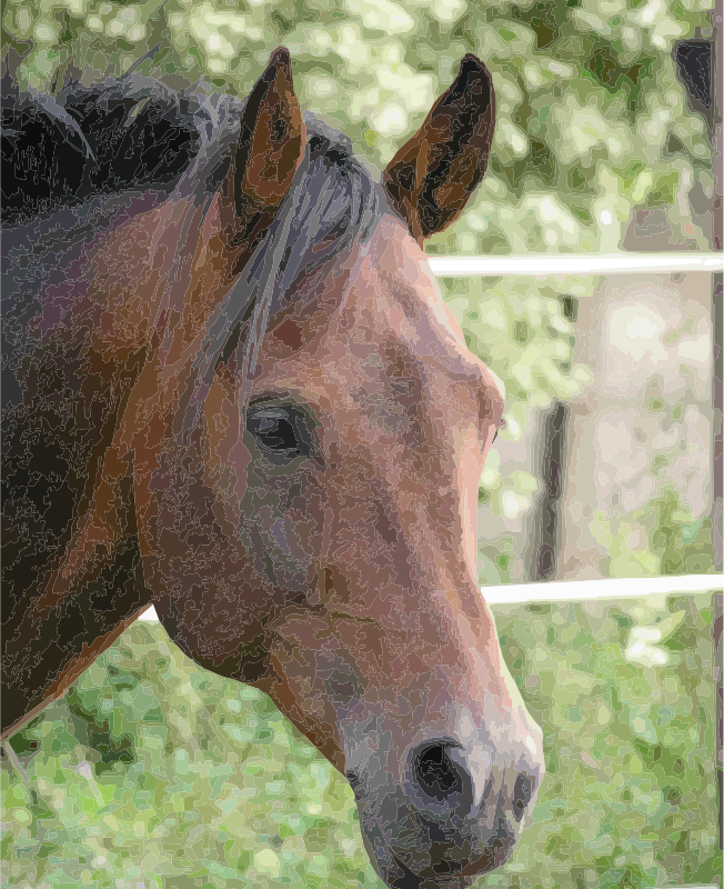 Horse