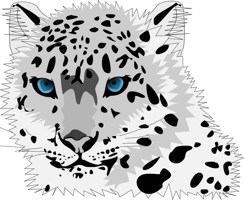 snow leopard