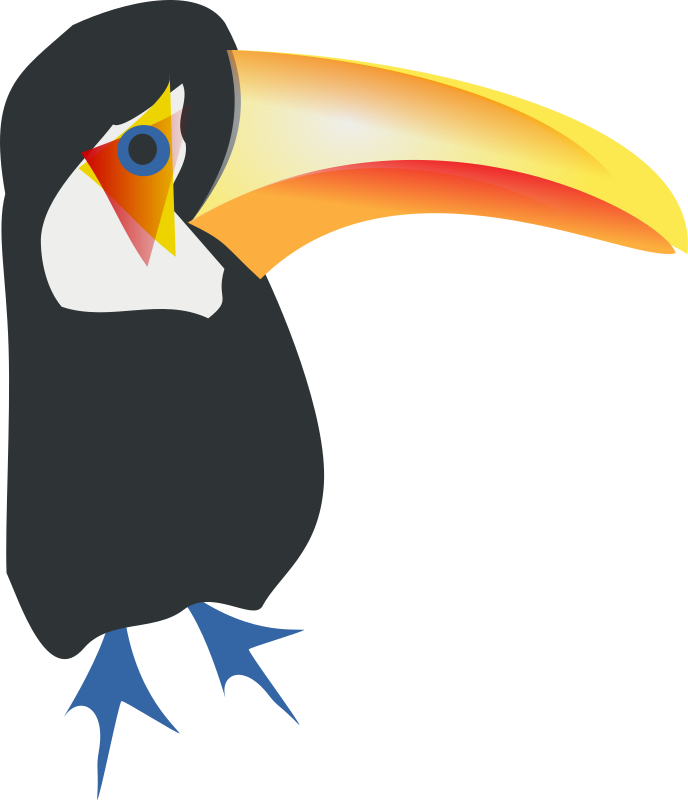 toucan toco