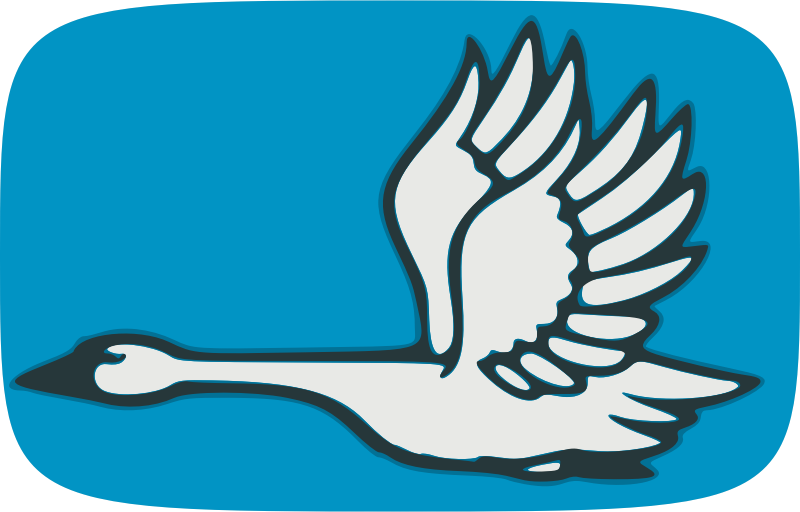 Flying swan