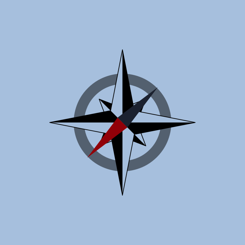 Needle