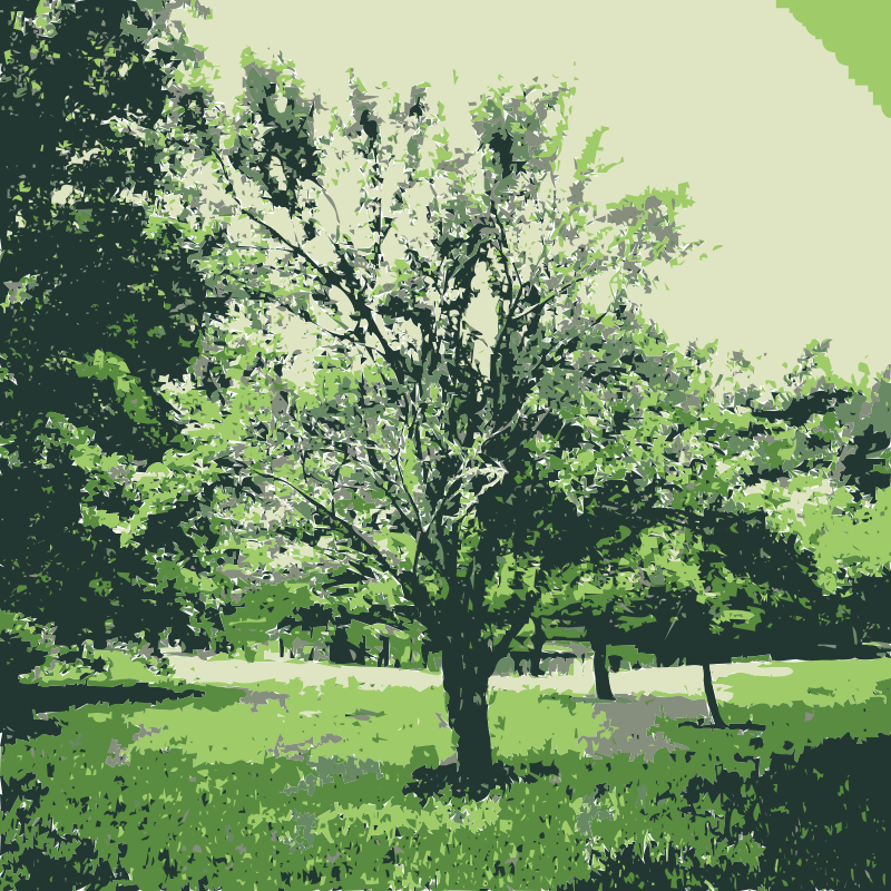 Green nature 1
