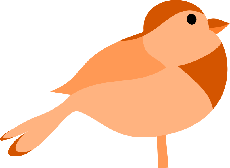 Bird