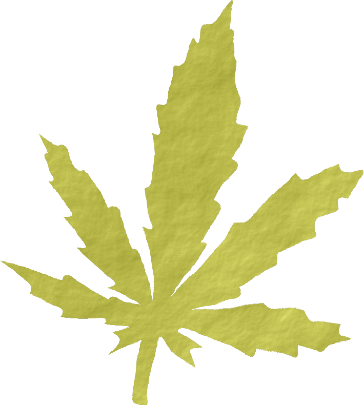 the leaf