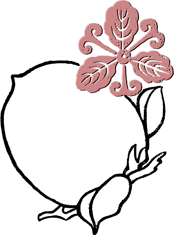 Peach Flower Frame