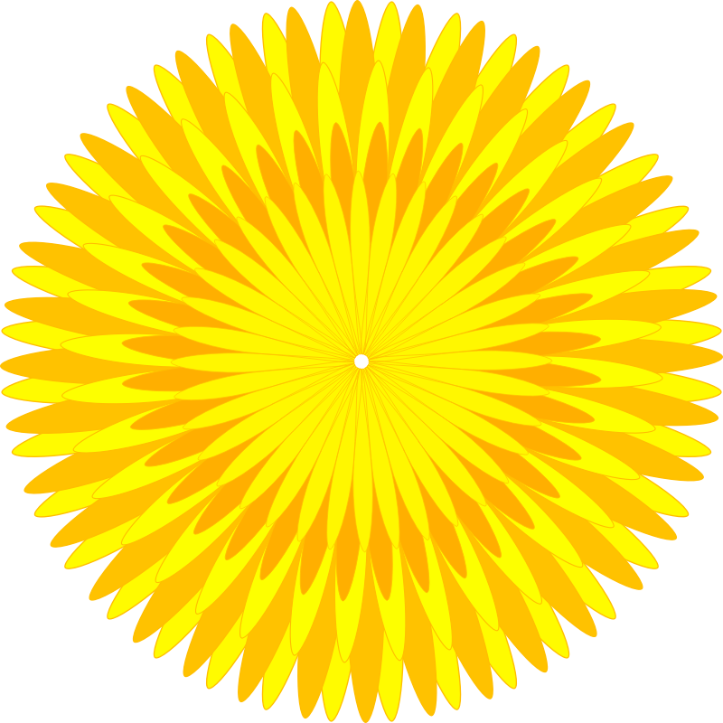 Dandelion