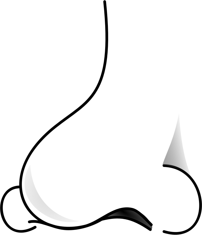nose 2