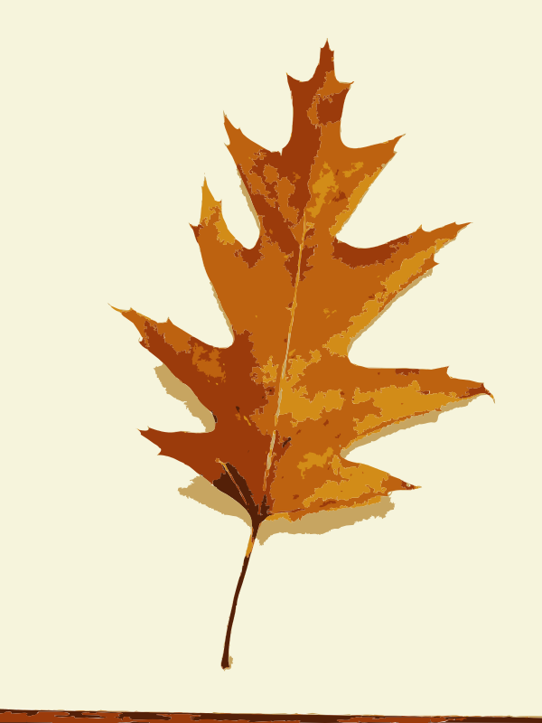 More fall tree leaves 1