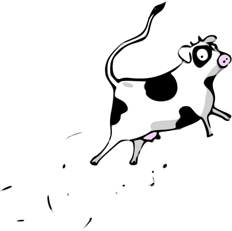 vaca Huayra