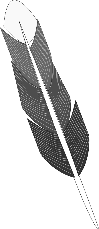 Grayscale Feather