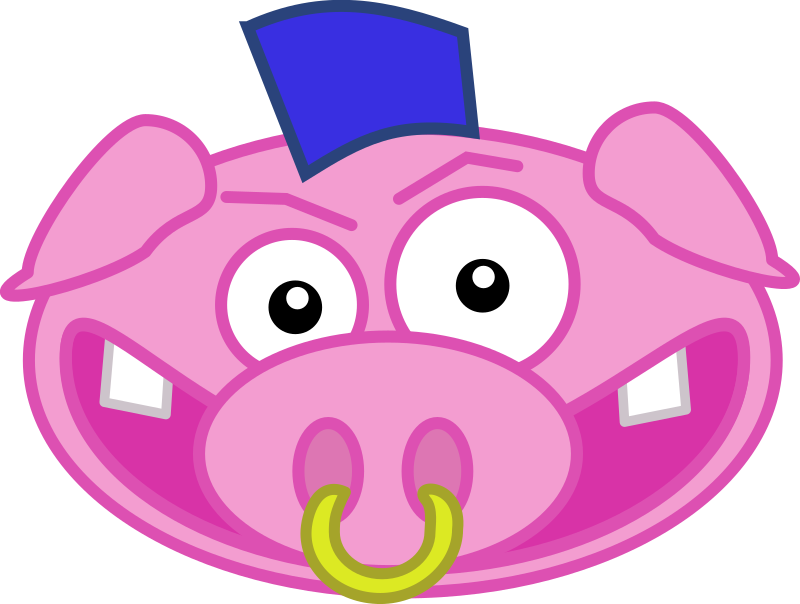 Punk pig