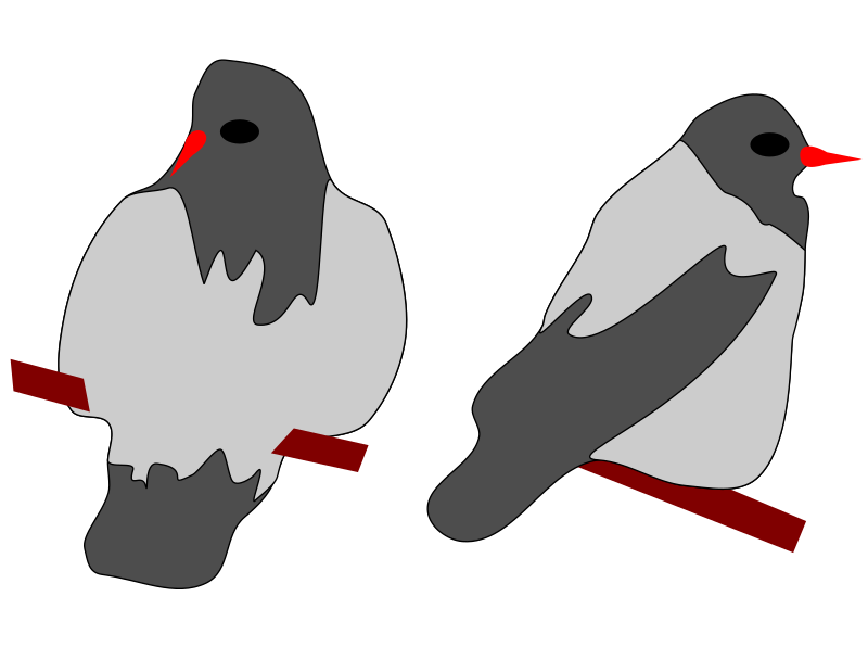 Kraehe 1 und Kraehe 2