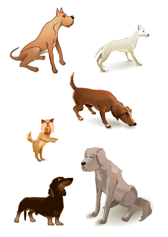 dogs pack