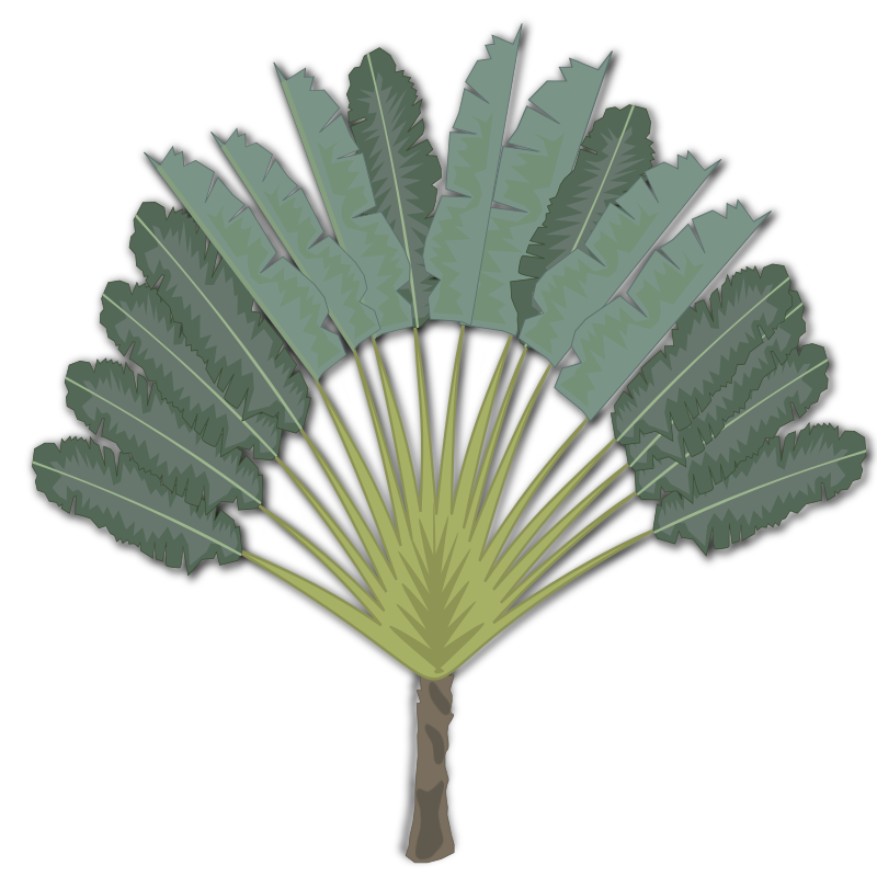 tree-09