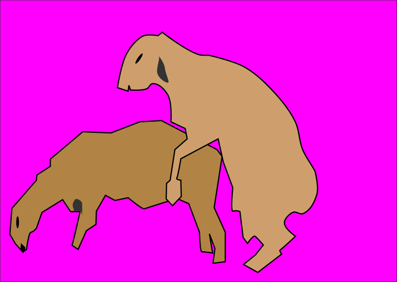 sheeps do it