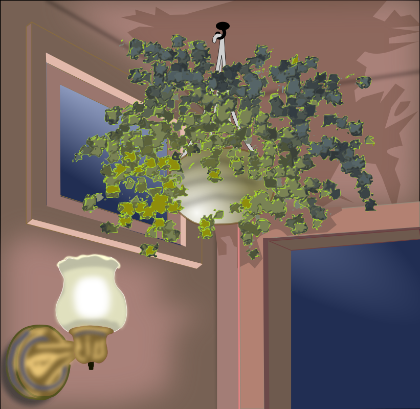 Hanging Plant