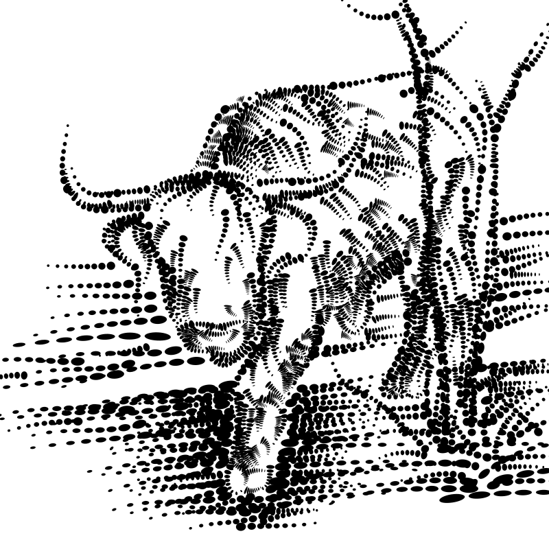 taurus7